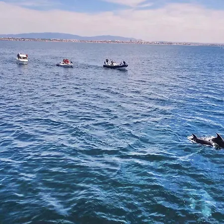 Harmony By Algarve Vacation Casa de Férias