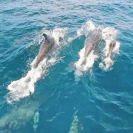 Tatil Evi Harmony By Algarve Vacation